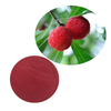 Myrica Rubra Extract Powder Waxberry Extract Powder ผงสารสกัดจากเบย์เบอร์รี่สีแดง