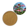 Echinacea Polyphenols 4% สารสกัด Echinacea