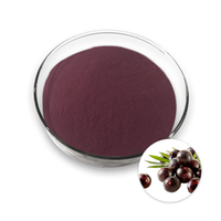 Acai Berry Extract Powder สารสกัดจากพืชสมุนไพร Euterpe oleracea M